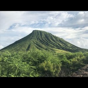 Meet your Posher, Janelle